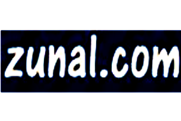 Website: Zunal | Recurso educativo 33671