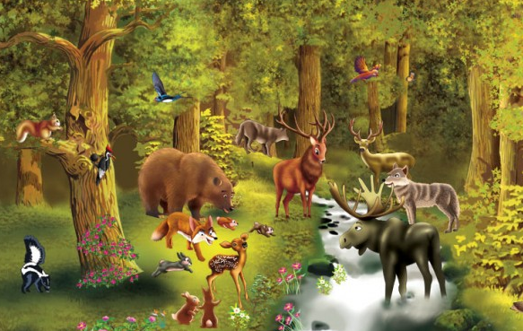Puzzle Nivel 3: Animales del bosque | Recurso educativo 34315