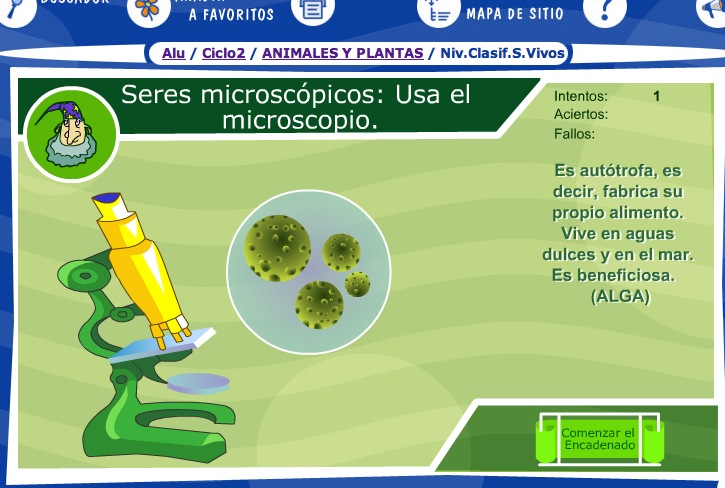 Los seres microscópicos | Recurso educativo 35651