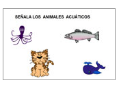 Mis animales | Recurso educativo 36479