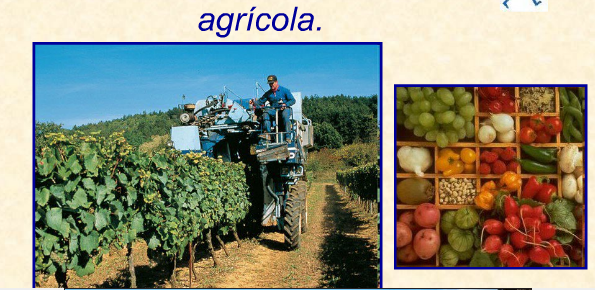 El sector primari: L'activitat agrícola. | Recurso educativo 36695