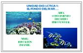 El fondo del mar | Recurso educativo 38539