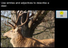 Describing a red deer | Recurso educativo 42494