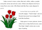 Tulips | Recurso educativo 42917