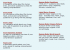 Website: Human body worksheets | Recurso educativo 42920