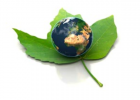 Earth day | Recurso educativo 45591
