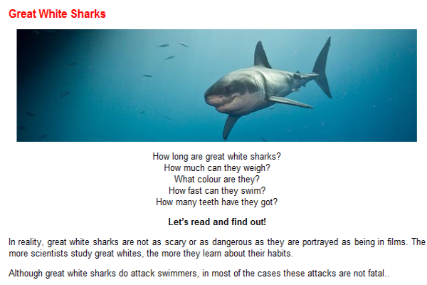 Great white sharks | Recurso educativo 45655