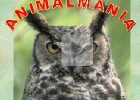Comprensió lectora: Animalmania | Recurso educativo 46322