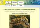 Environmental problems | Recurso educativo 47050