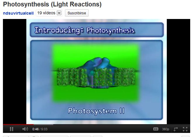 Fotosíntesi | Recurso educativo 47644