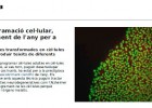 Reprogramació cel·lular | Recurso educativo 49812