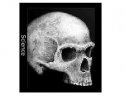 Los sapiens más antiguos de Europa | Recurso educativo 50951