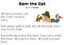Sam the cat | Recurso educativo 12822
