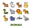 Bits dinámicos: Animales domésticos y salvajes | Recurso educativo 17280