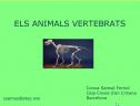 Joc educatiu: els animals vertebrats | Recurso educativo 17316