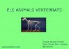 Joc educatiu: els animals vertebrats | Recurso educativo 17316