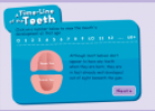 Tooth Timeline | Recurso educativo 17869