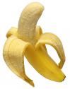 Fotografía: imagen de un plátano | Recurso educativo 17927