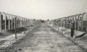 Auschwitz | Recurso educativo 18202