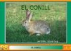 El conill | Recurso educativo 21323