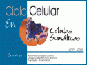 Ciclo celular en células somáticas | Recurso educativo 21719