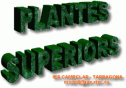 Plantes superiors | Recurso educativo 23142