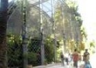 Jardí Botànic de València | Recurso educativo 27439