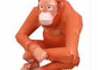 Animales: Orangután | Recurso educativo 31195