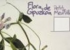 Flora de Guipuzkoa | Recurso educativo 32384