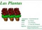 Las plantas | Recurso educativo 32438