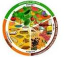 Software: Historia de los Alimentos | Recurso educativo 8237