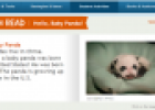 Hello, Baby panda! | Recurso educativo 64702