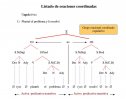 Listado de oraciones coordinadas resultas | Recurso educativo 65337