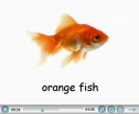 Video: Orange colour | Recurso educativo 68366