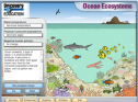 Ocean ecosystems | Recurso educativo 70145