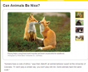 Can animals be nice? | Recurso educativo 71002