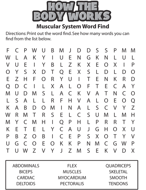 How the body works: muscular system word find | Recurso educativo 73224