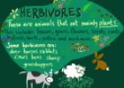 Herbivores | Recurso educativo 73395