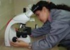 El microscopio | Recurso educativo 80179