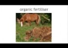 What are fertilisers? | Ecology and Environment | the virtual school | Recurso educativo 91914