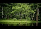 Sonidos de la Naturaleza - Los sonidos más relajantes! | Recurso educativo 108356