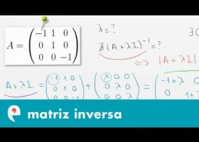 Matriz inversa (ejercicio 2) | Recurso educativo 109474