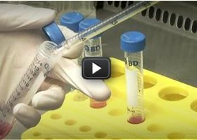 Biotecnología | Vídeo Educativo | Investigación con células madre | Recurso educativo 679893