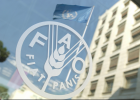 Guide to the Food and Agriculture Organization (FAO) of the United Nations. | Recurso educativo 730866