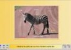 Animals vertebrats | Recurso educativo 731054