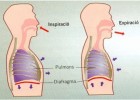 Procès respiratori | Recurso educativo 733360