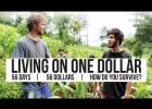 Living on One Dollar (2013) | Recurso educativo 737366