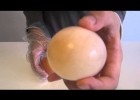 Experimento casero huevo+vinagre | Recurso educativo 737741
