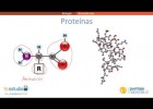 Biomoléculas | Recurso educativo 742042