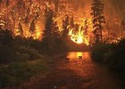 Incendio forestal | Recurso educativo 742568